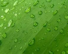 休斯顿大学音乐学院（美国留学音乐学院怎么选）