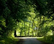 中国女排比赛视频回放对泰国（中国女排对泰国女排结果怎样）